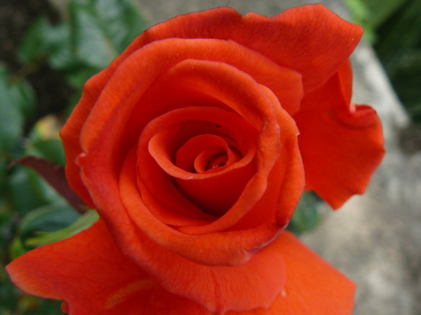 P1020490 (FILEminimizer)