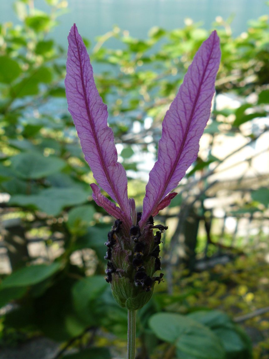 P1020493 (FILEminimizer)