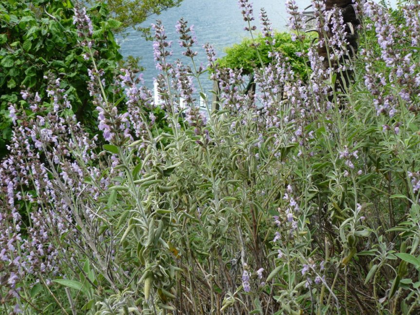 P1020596 (FILEminimizer)