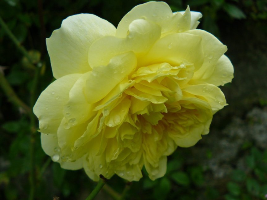 P1020644 (FILEminimizer)