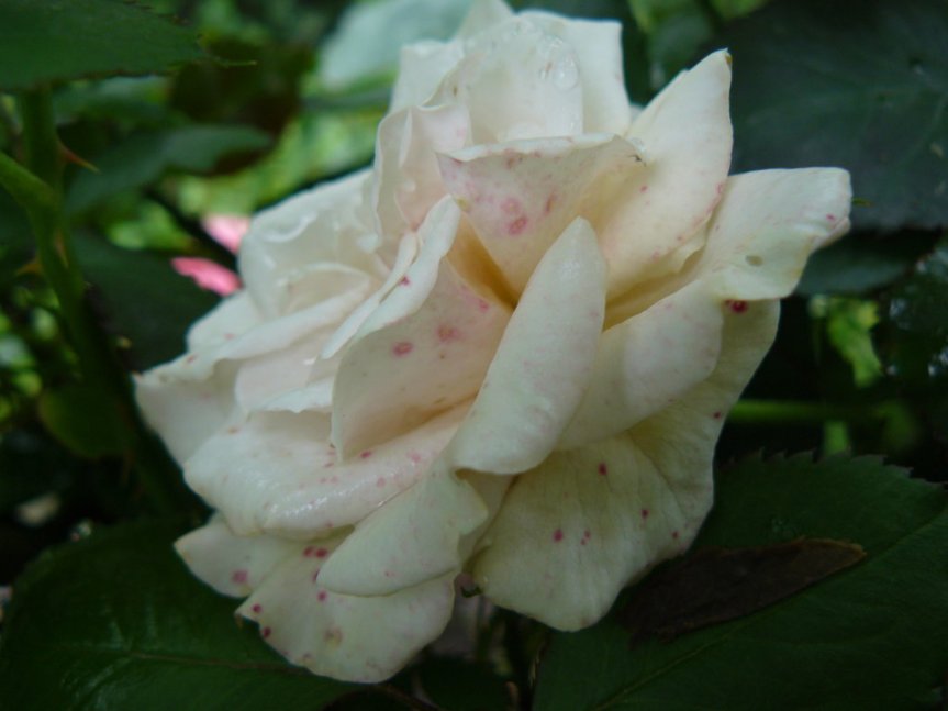 P1020646 (FILEminimizer)