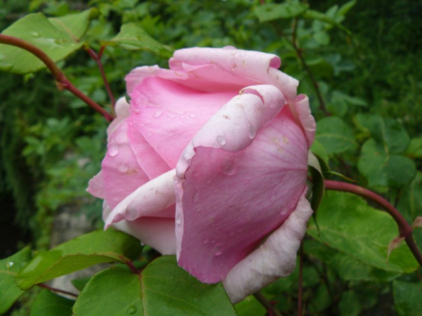 P1020647 (FILEminimizer)