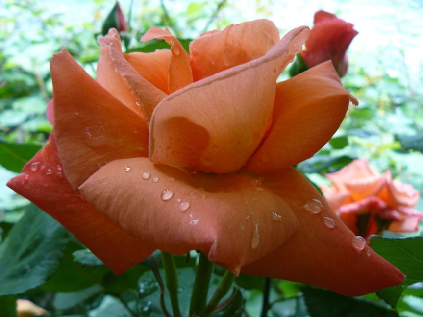 P1020648 (FILEminimizer)