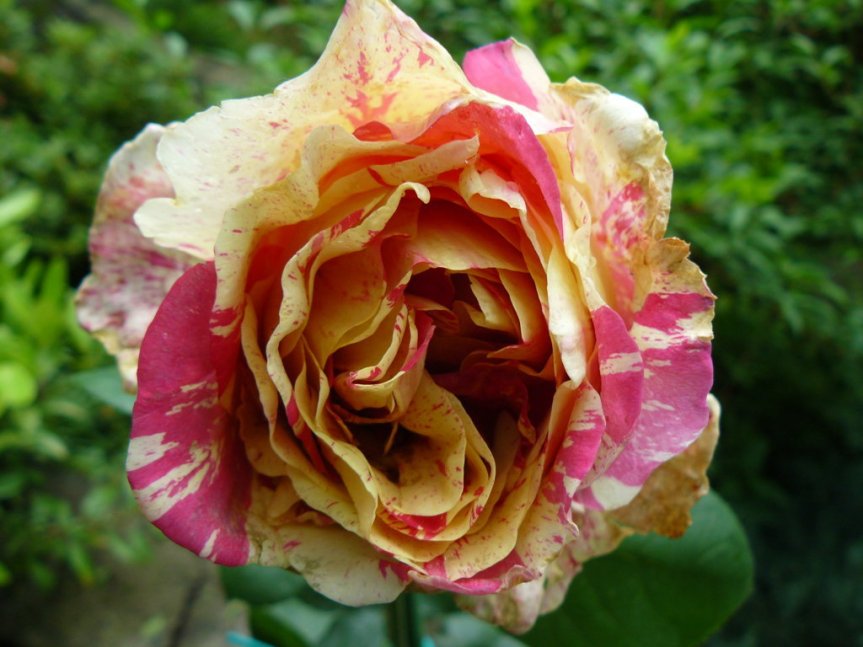 P1020652 (FILEminimizer)