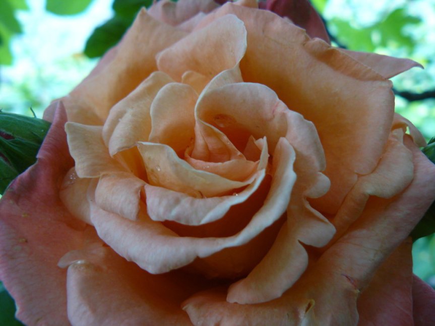 P1020691 (FILEminimizer)