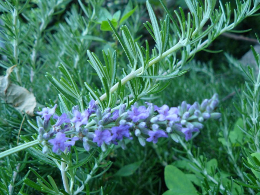 P1020903 (FILEminimizer)