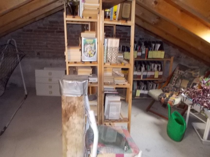 DSCN1661 (FILEminimizer)