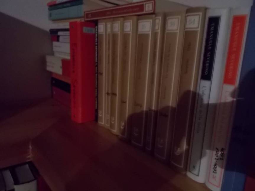 DSCN4124 (FILEminimizer)