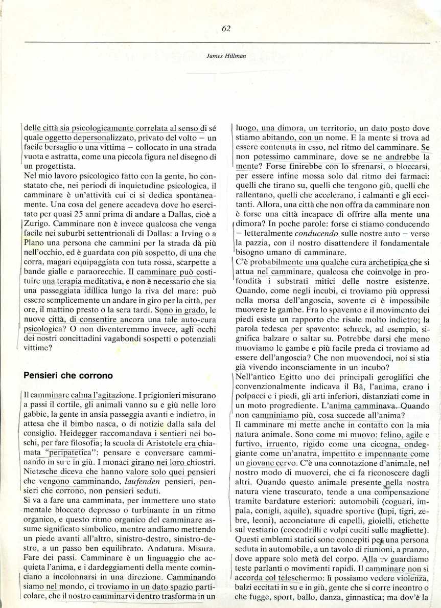 HILLMAM camminare2369