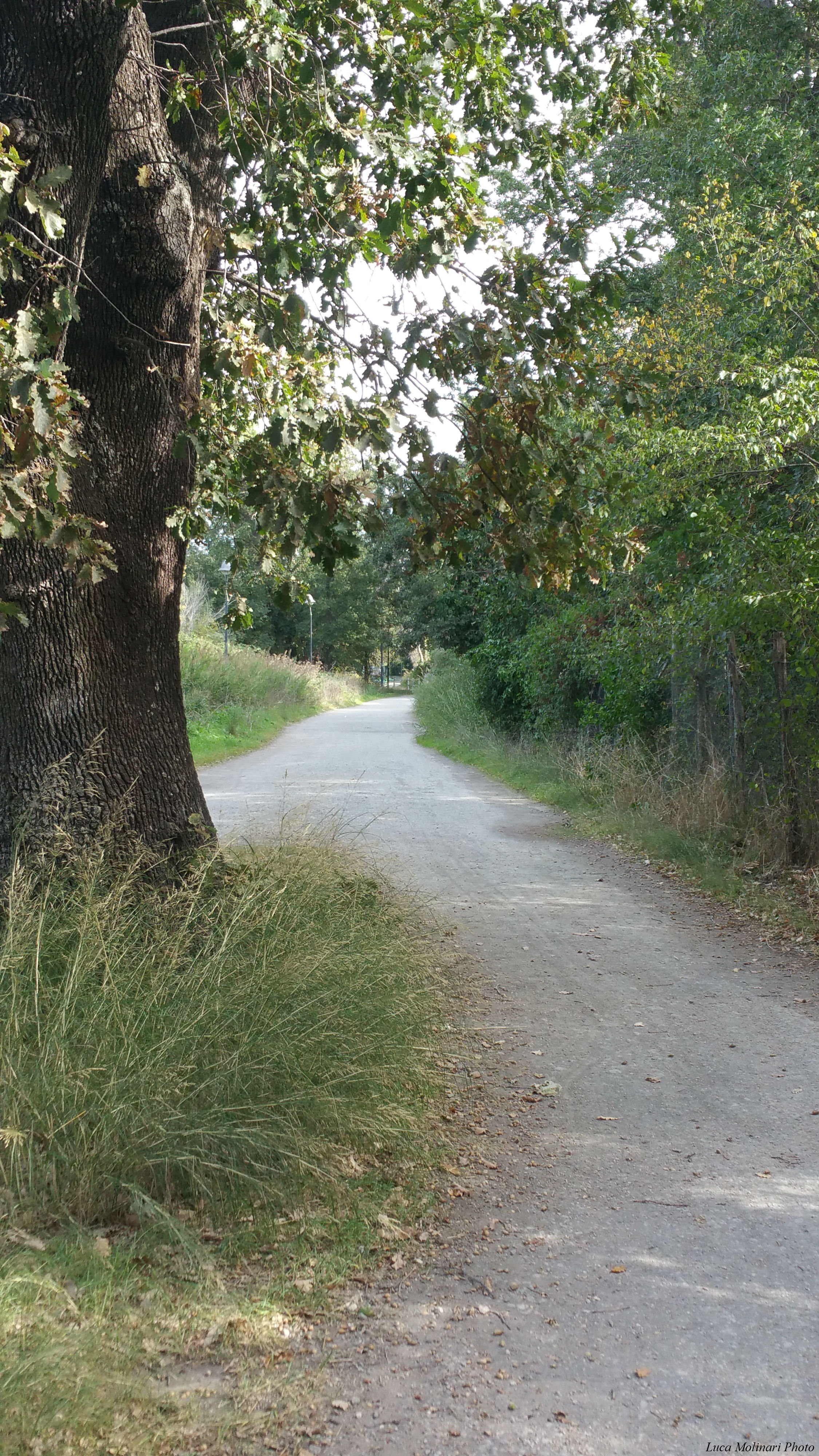 Luca Molinari Photo Etiliyle - Sentiero