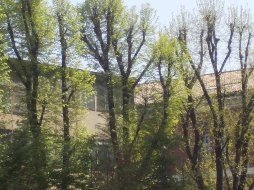 DSCN9306 (FILEminimizer)