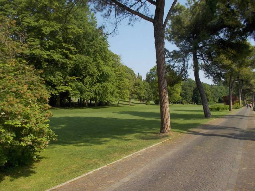 DSCN9572 (FILEminimizer)