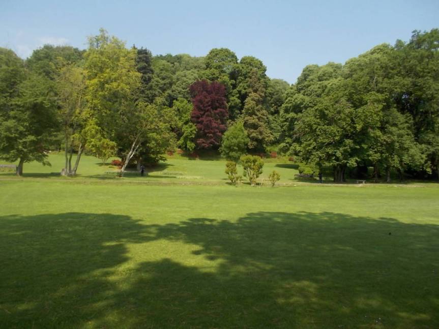 DSCN9576 (FILEminimizer)