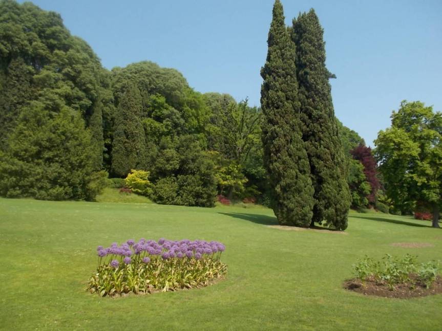 DSCN9580 (FILEminimizer)