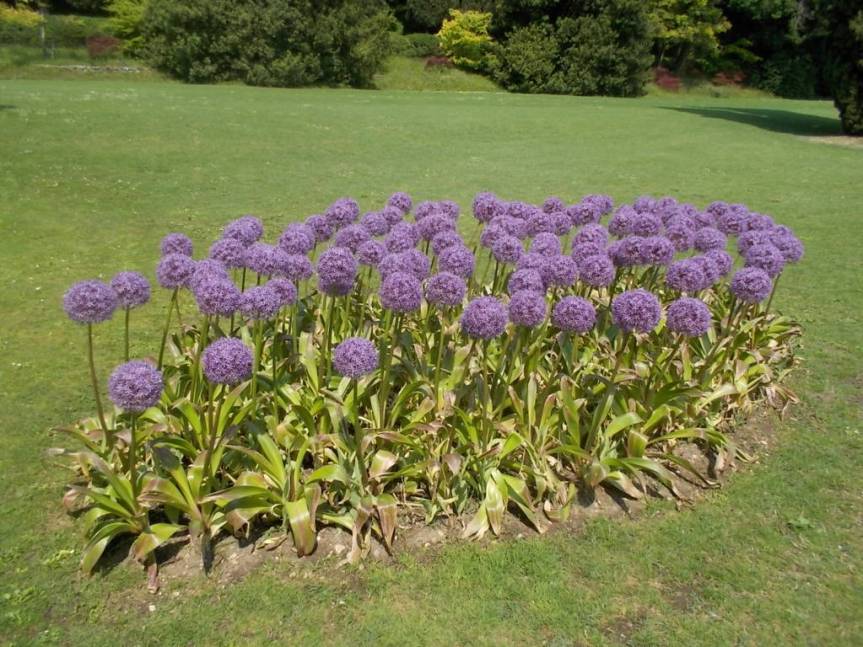 DSCN9581 (FILEminimizer)