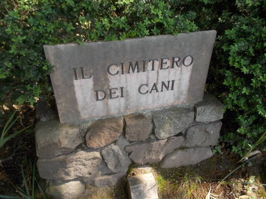 DSCN9586 (FILEminimizer)