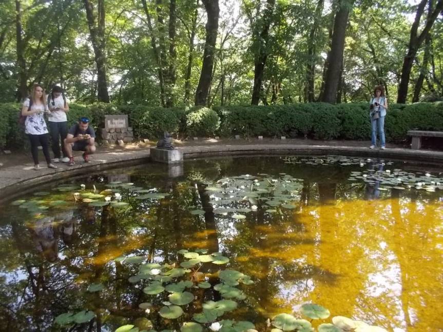 DSCN9587 (FILEminimizer)