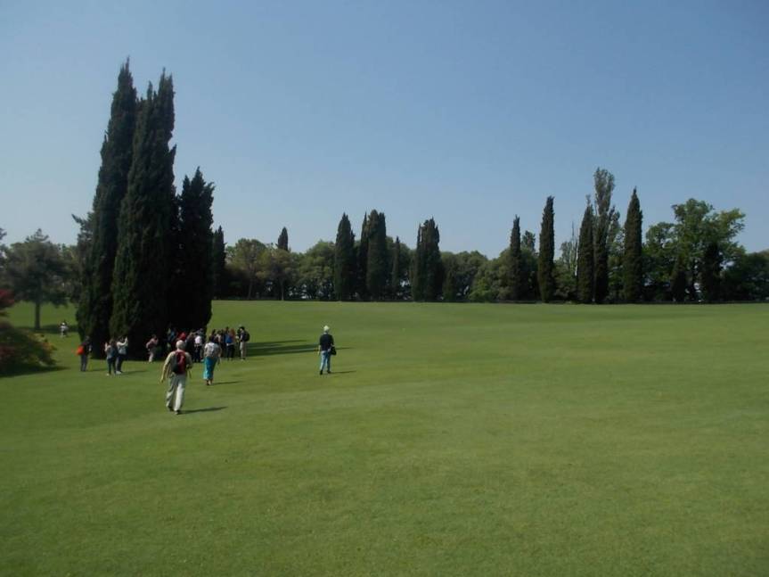 DSCN9592 (FILEminimizer)