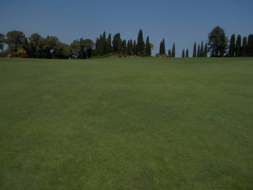 DSCN9595 (FILEminimizer)