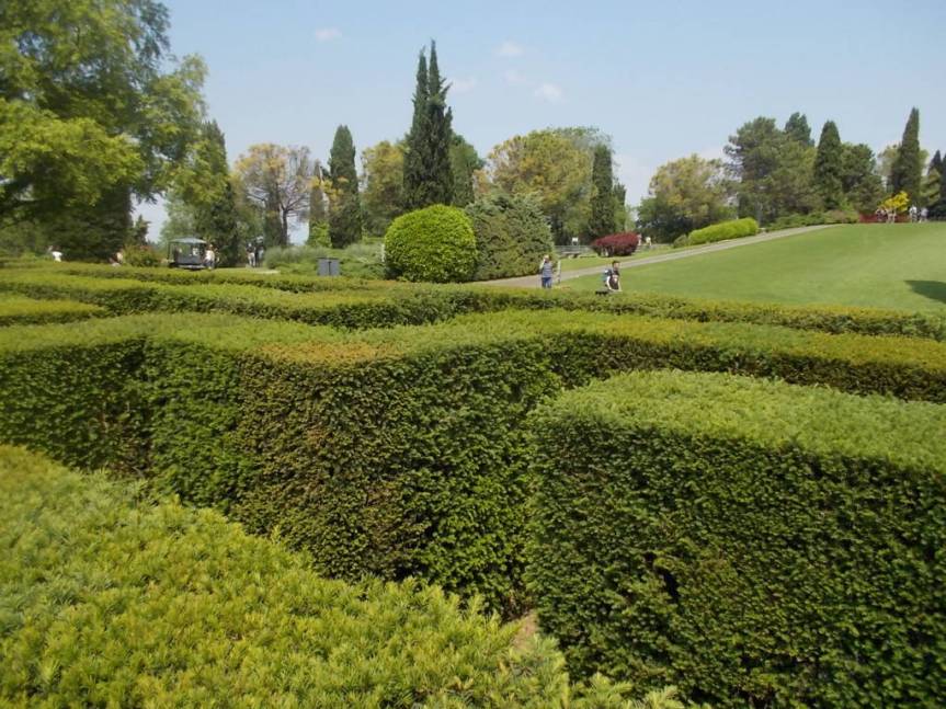 DSCN9607 (FILEminimizer)