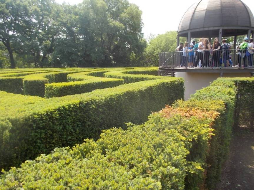 DSCN9610 (FILEminimizer)