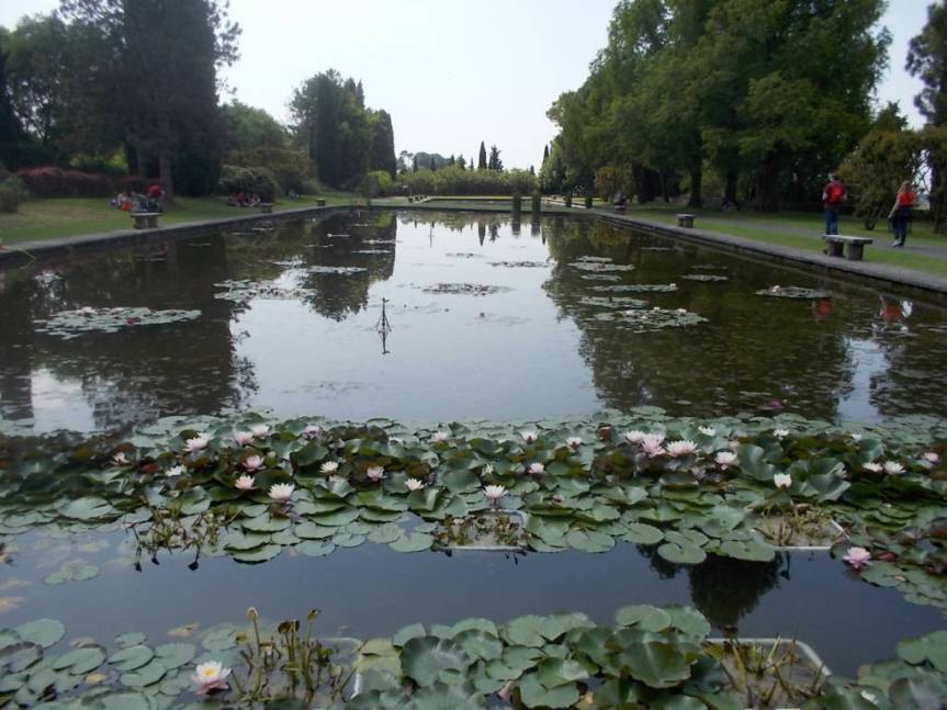 DSCN9617 (FILEminimizer)