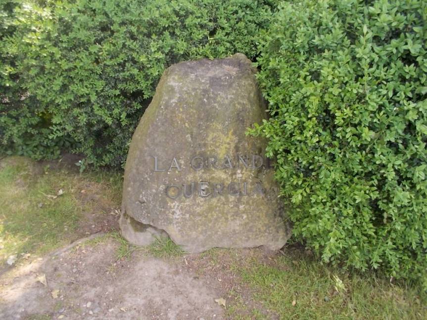 DSCN9619 (FILEminimizer)