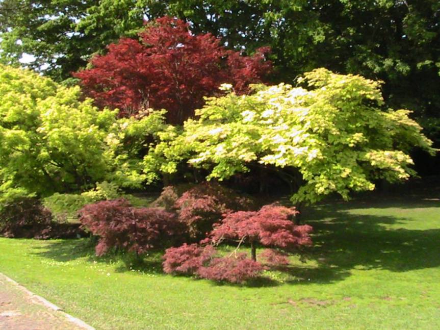 IMG_8519 (FILEminimizer)