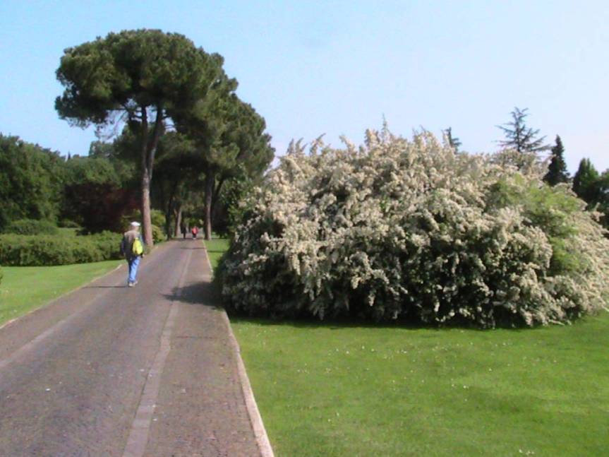 IMG_8522 (FILEminimizer)