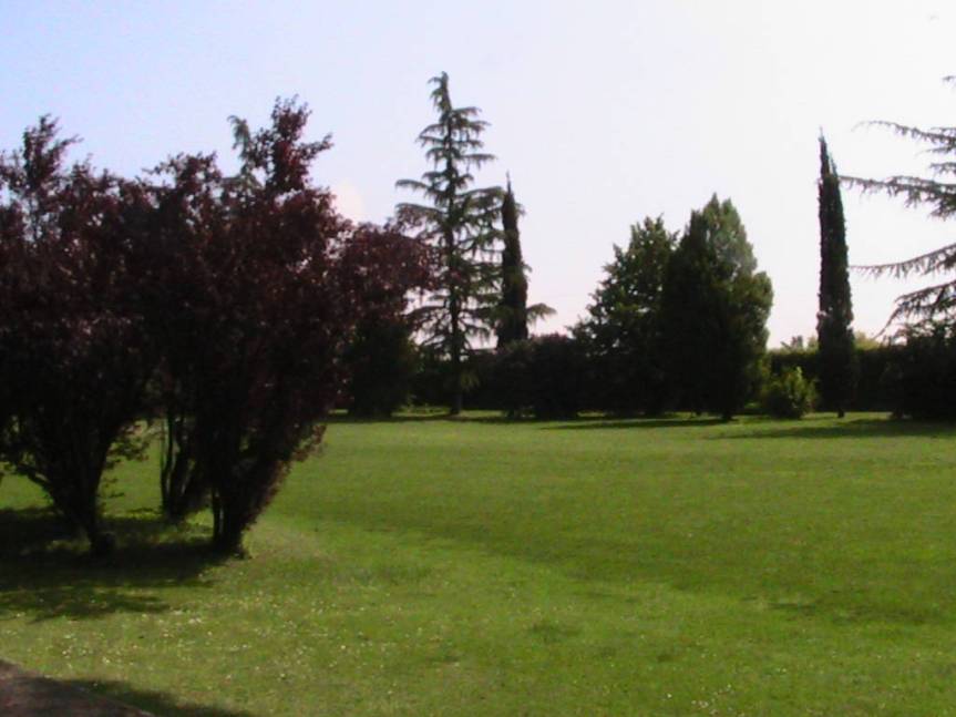 IMG_8526 (FILEminimizer)