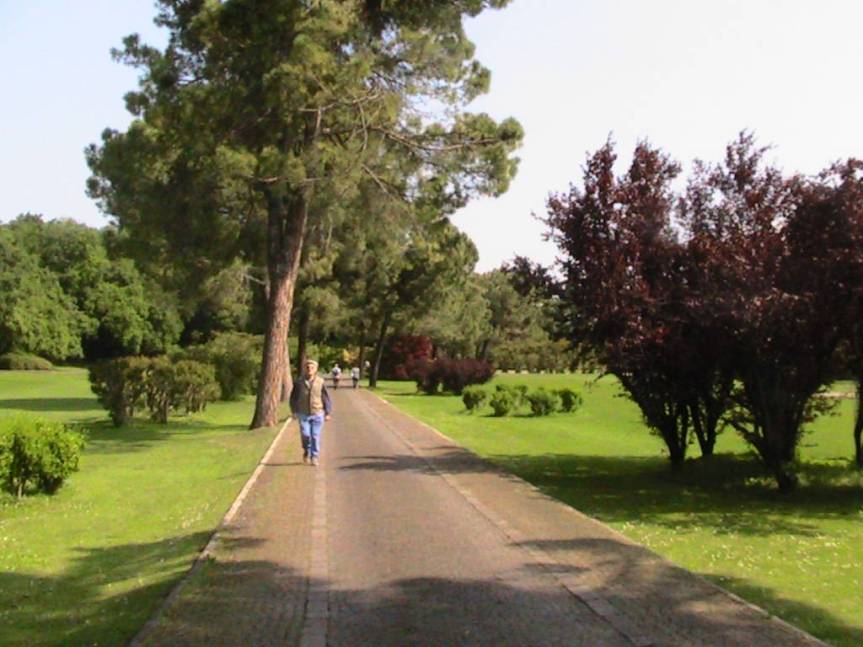 IMG_8527 (FILEminimizer)