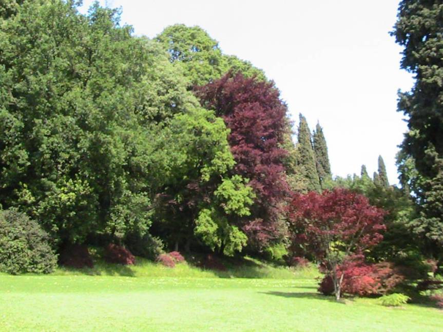 IMG_8528 (FILEminimizer)