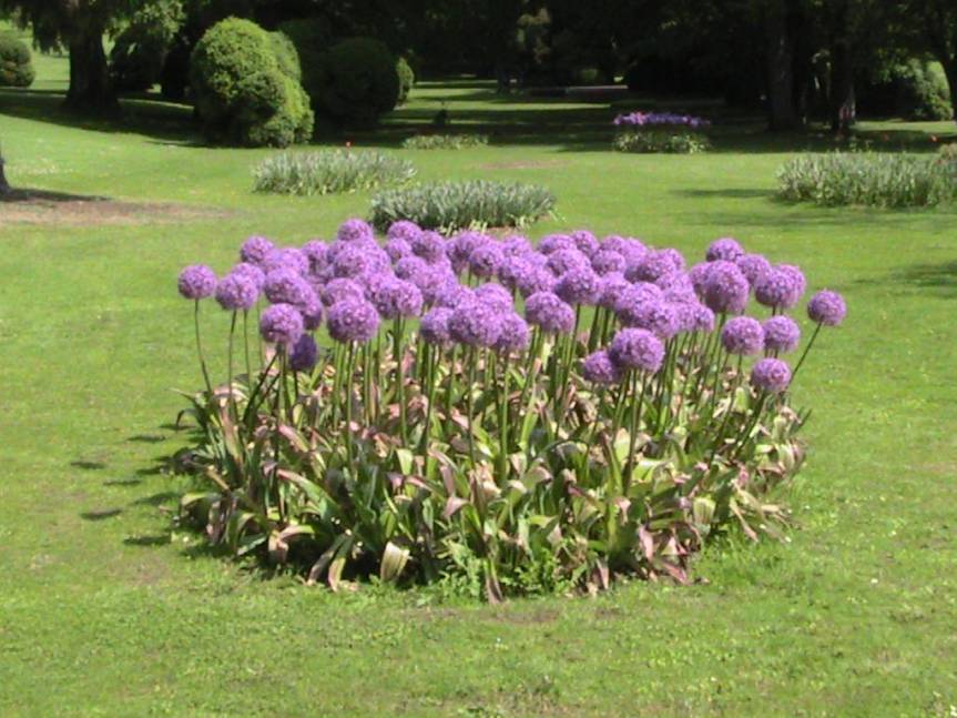 IMG_8529 (FILEminimizer)