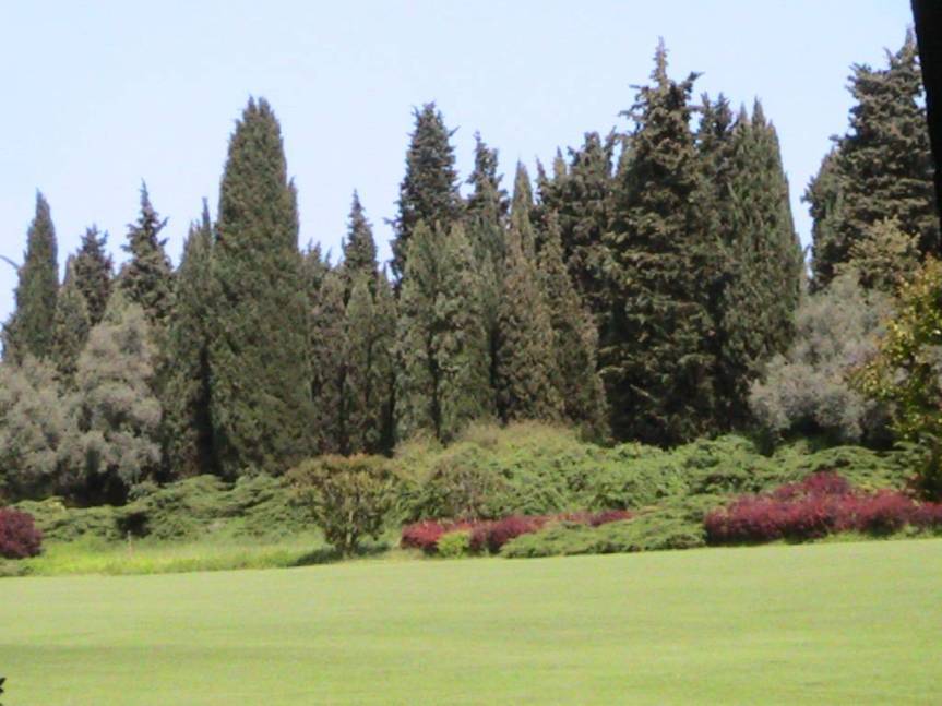 IMG_8534 (FILEminimizer)