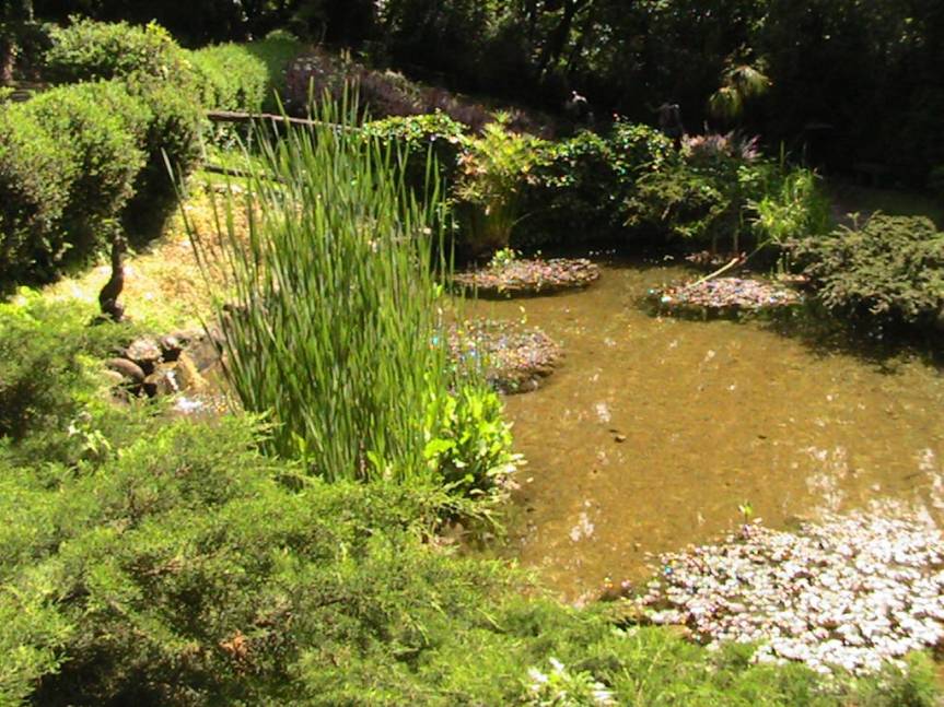 IMG_8537 (FILEminimizer)