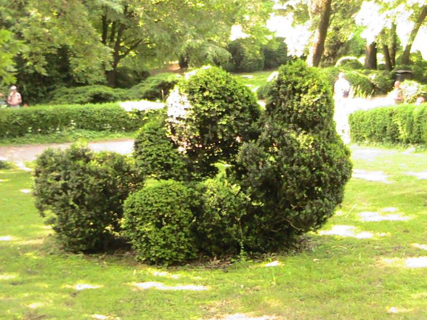 IMG_8539 (FILEminimizer)