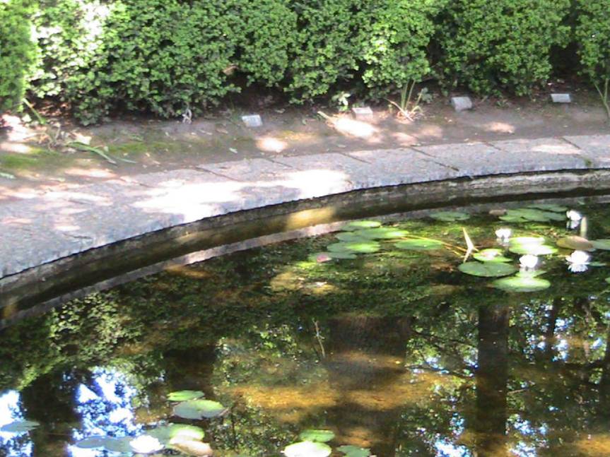 IMG_8541 (FILEminimizer)