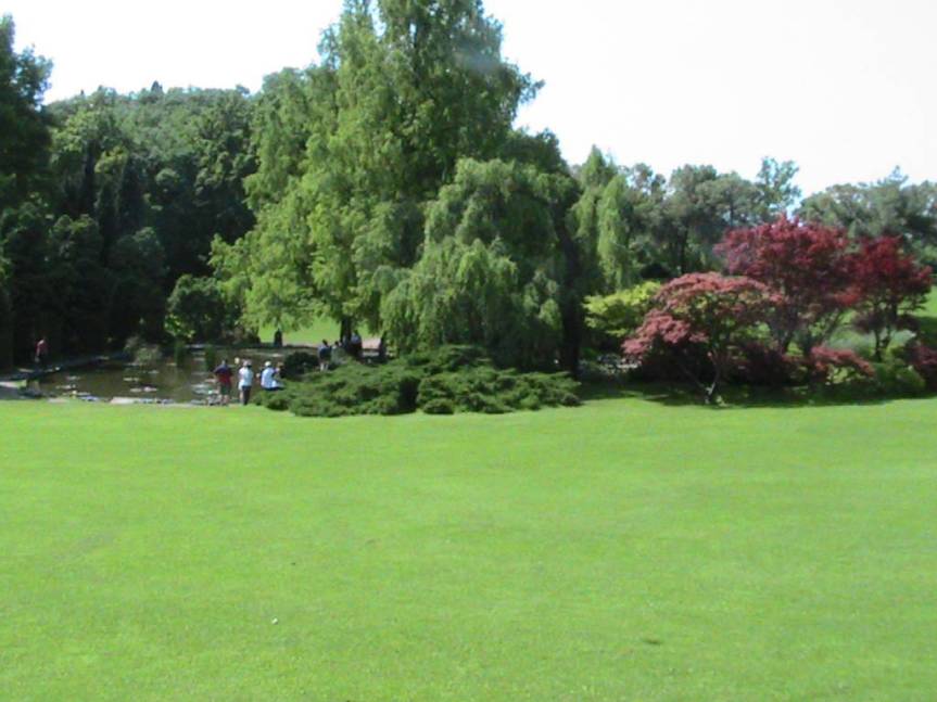 IMG_8542 (FILEminimizer)