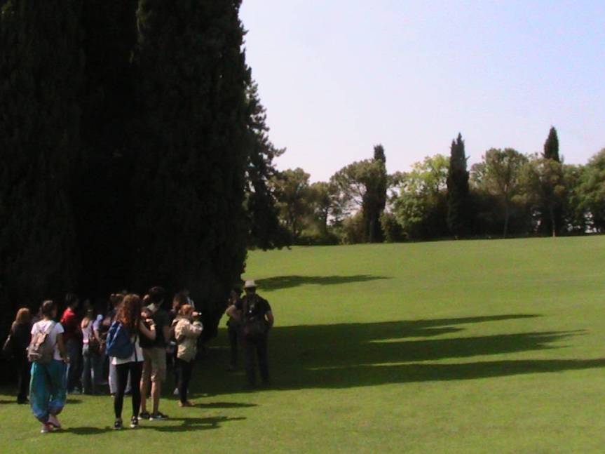 IMG_8547 (FILEminimizer)