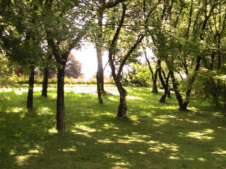 IMG_8554 (FILEminimizer)