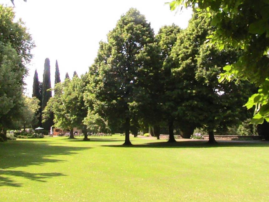 IMG_8556 (FILEminimizer)