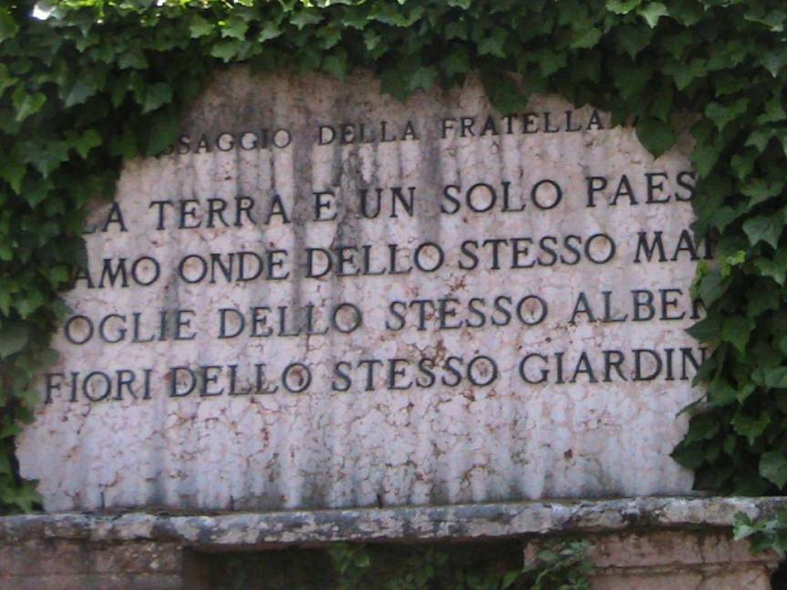 IMG_8558 (FILEminimizer)