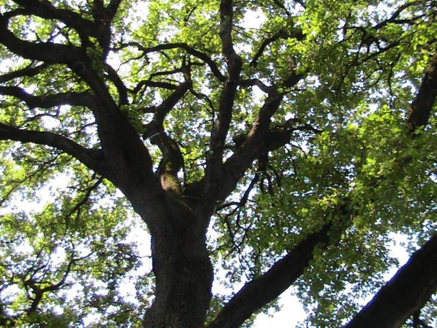 IMG_8560 (FILEminimizer)