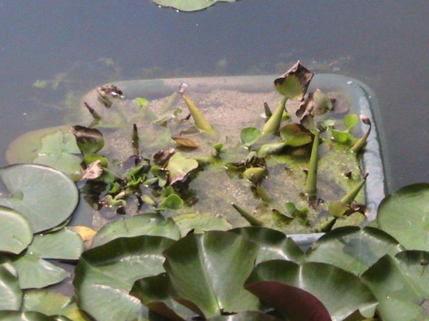 IMG_8564 (FILEminimizer)