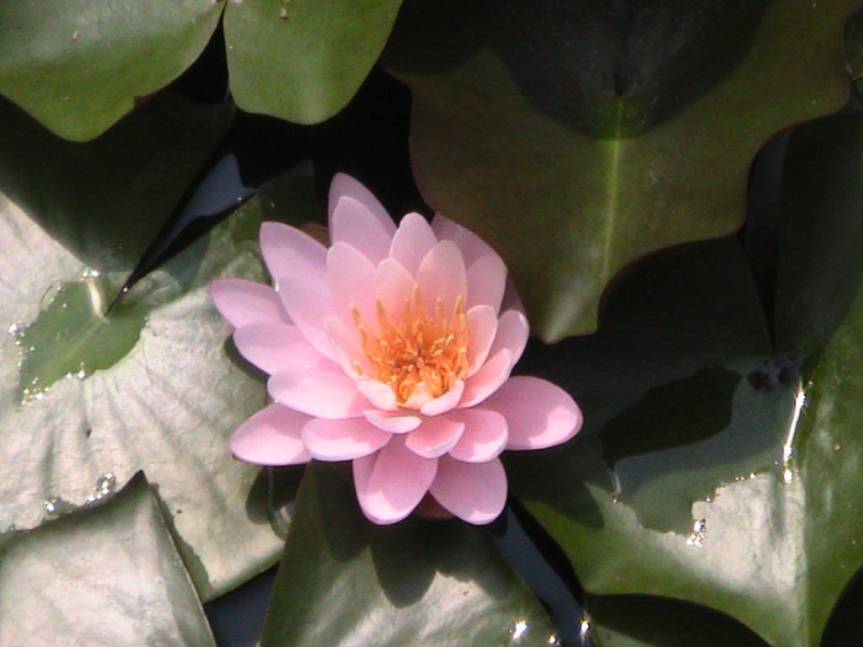 IMG_8565 (FILEminimizer)