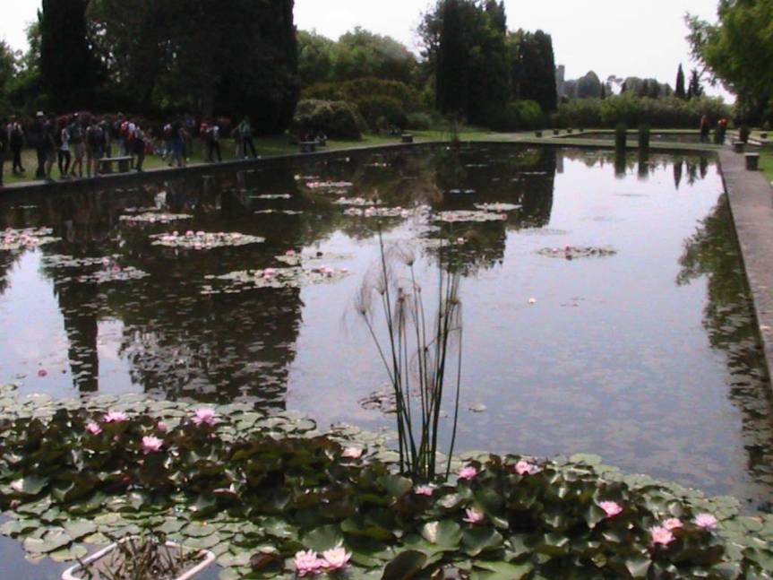 IMG_8567 (FILEminimizer)