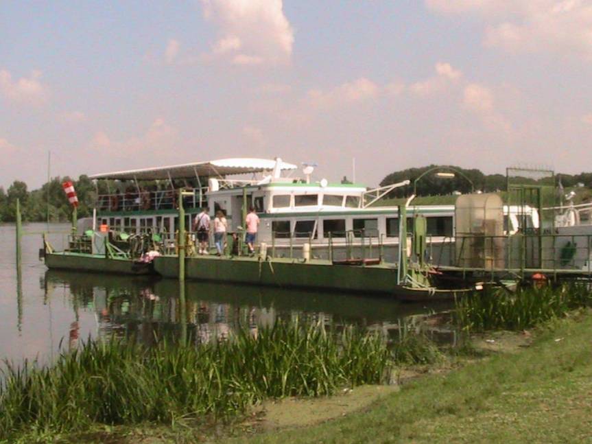 IMG_8572 (FILEminimizer)