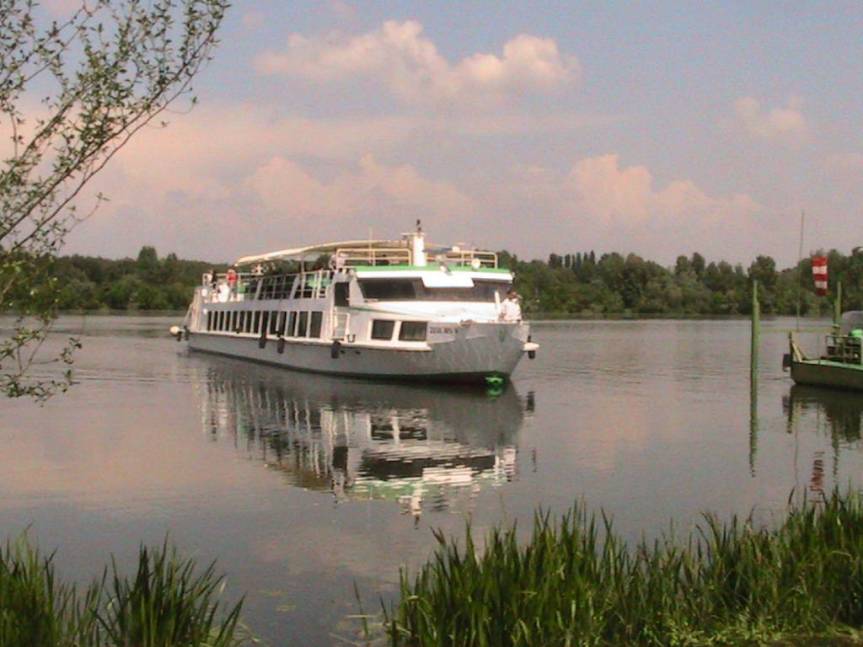 IMG_8573 (FILEminimizer)