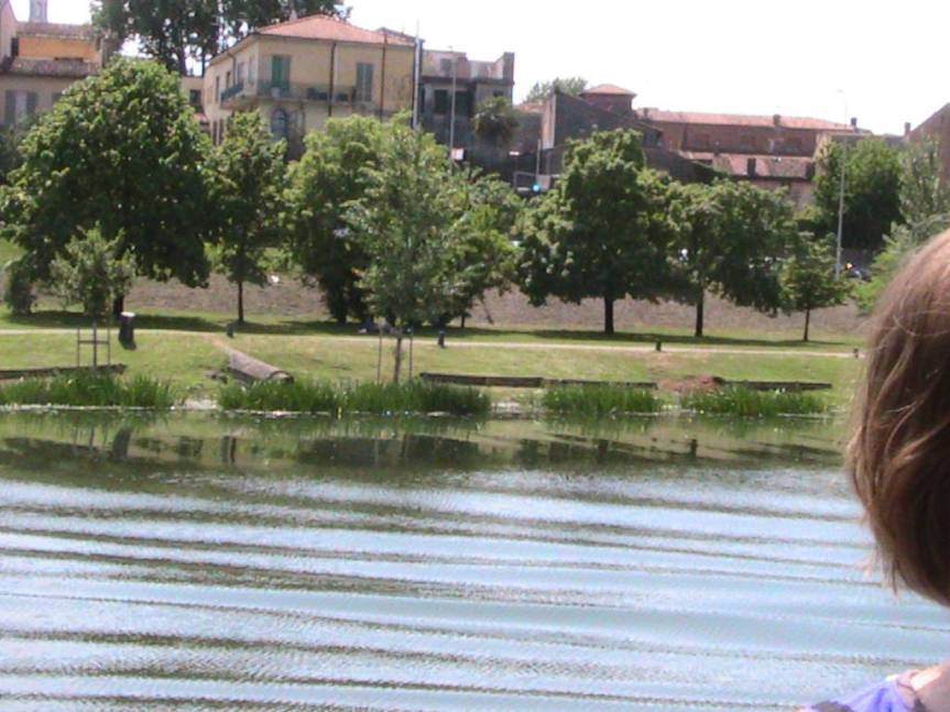 IMG_8578 (FILEminimizer)