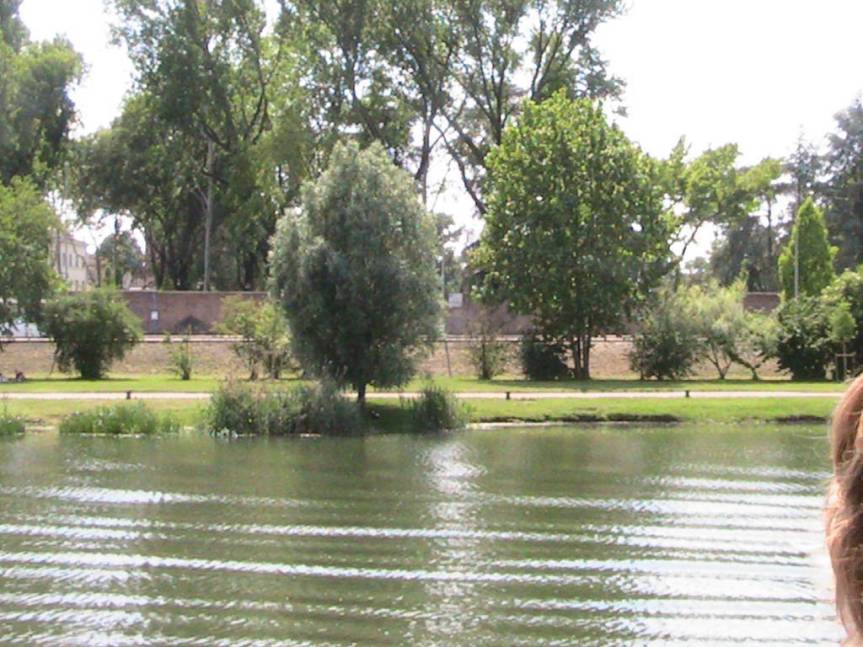 IMG_8581 (FILEminimizer)